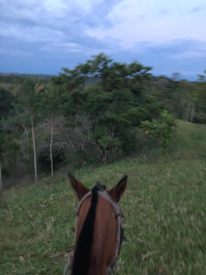 Finca Hotel Doradal Farm stay