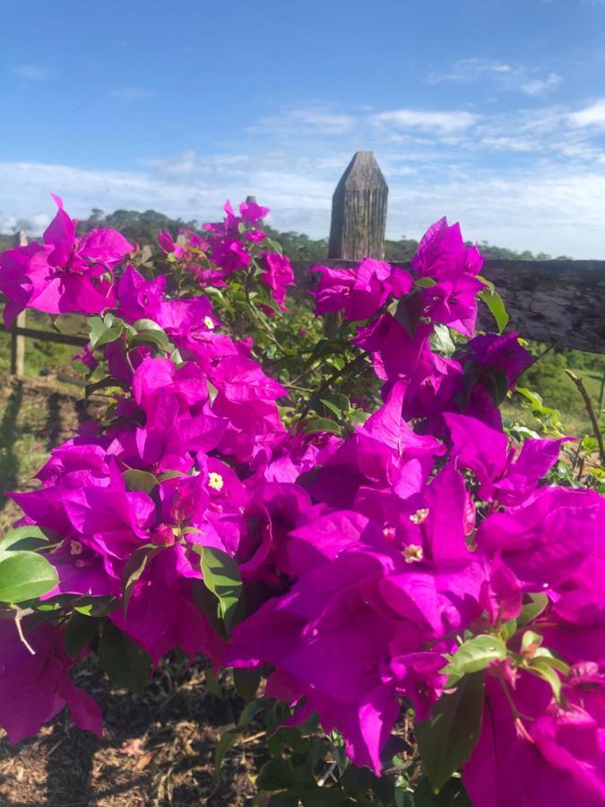 Finca Hotel Doradal Farm stay