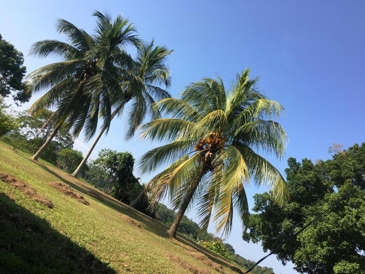 Farm stay Finca Hotel Doradal Doradal