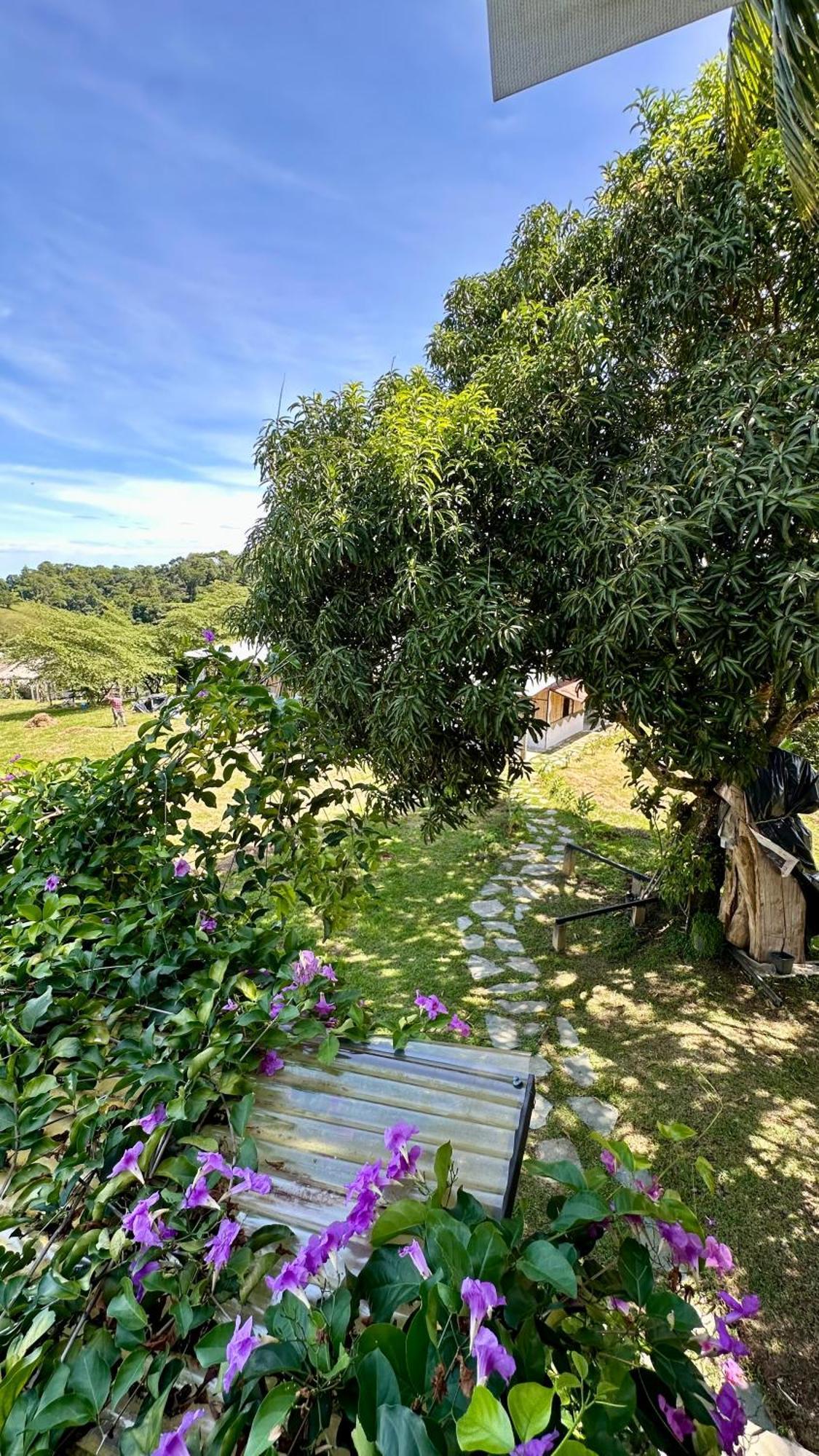 Farm stay Finca Hotel Doradal