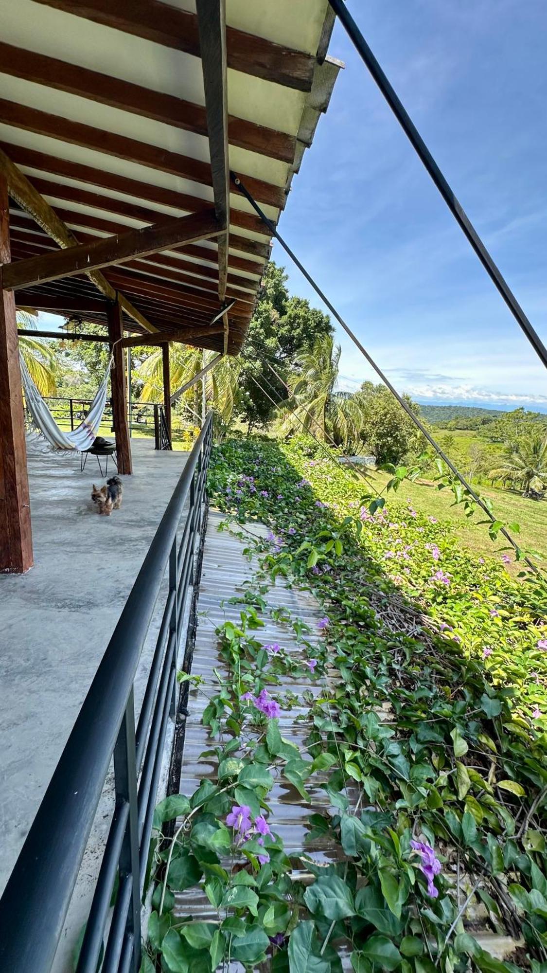 Finca Hotel Doradal *